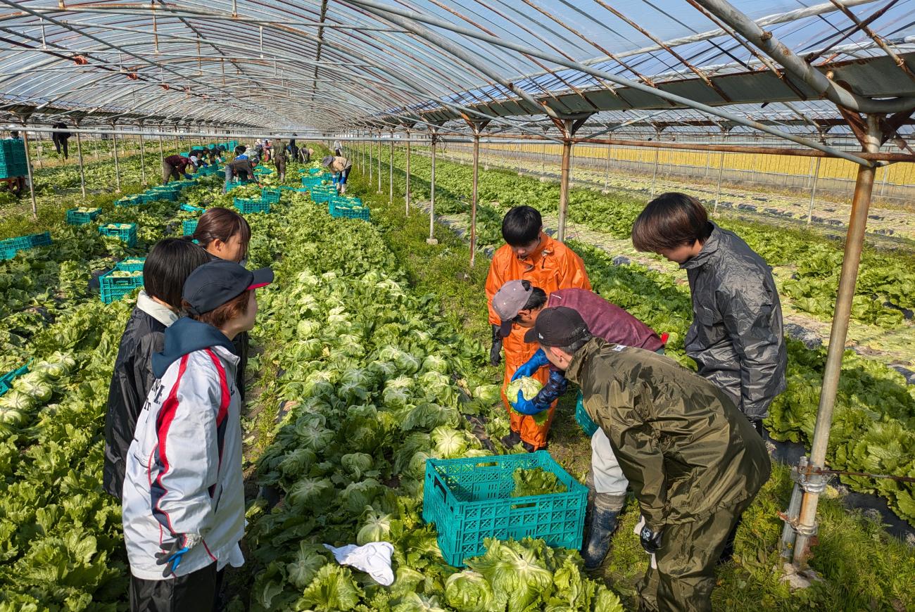 内定者研修を行いました！