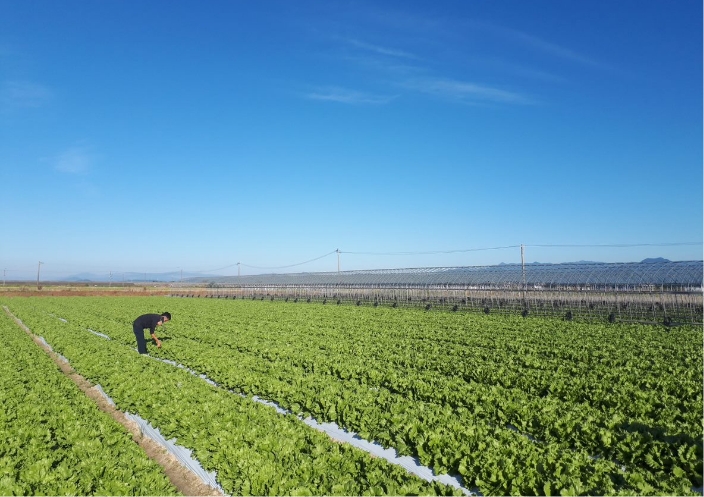 経営の安定化と効率化