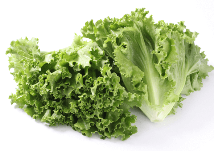 リーフレタス