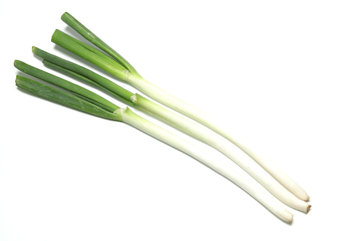 長ネギ