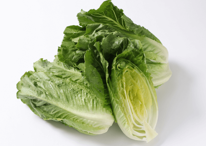 ロメインレタス